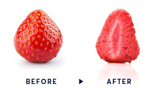 strawberry before and after lyophilizer